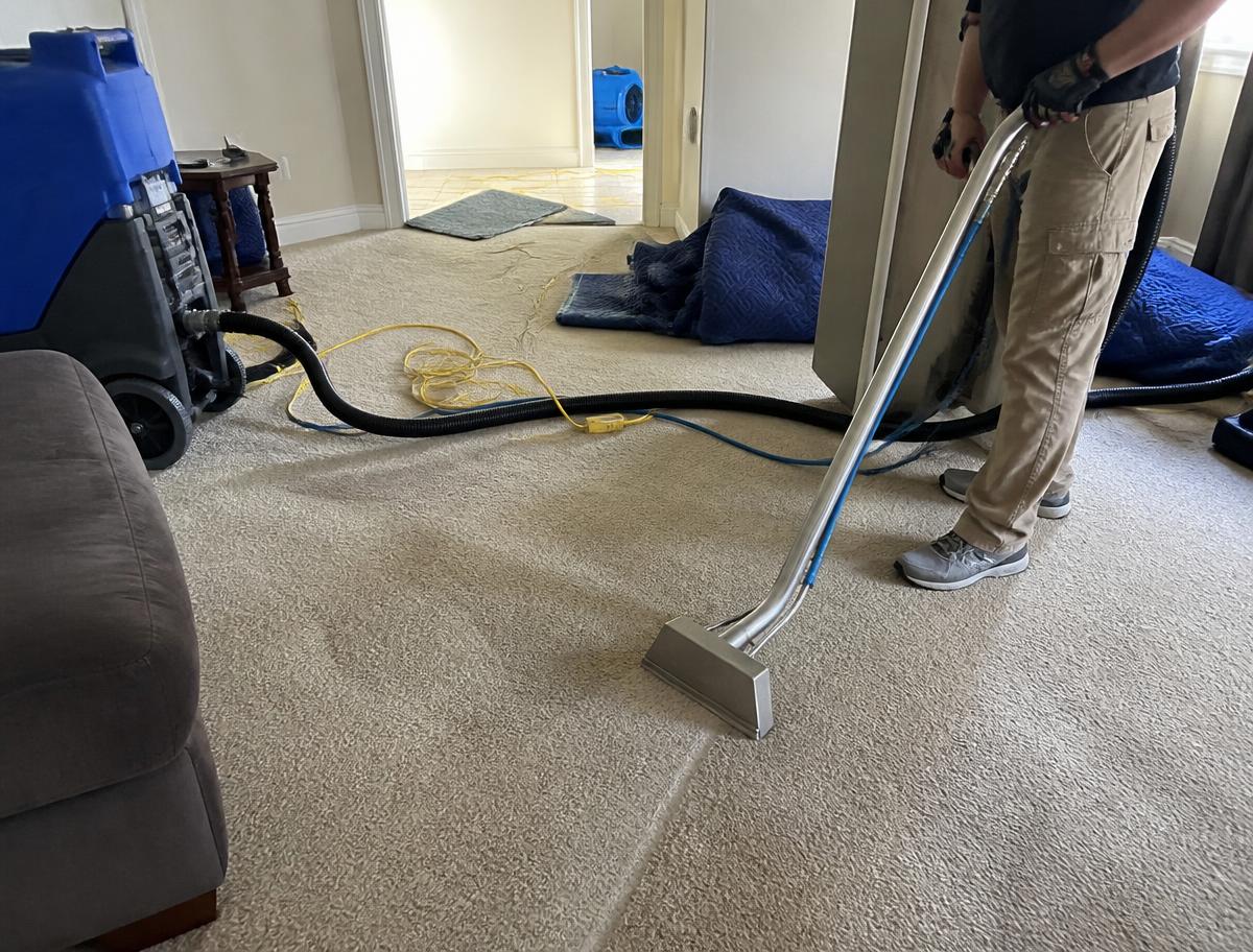 Living Room Water Extraction
