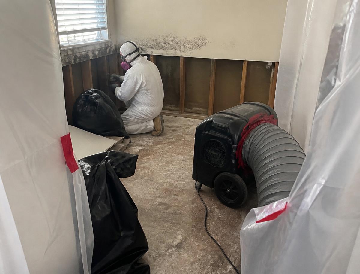 Mold Remediation Project