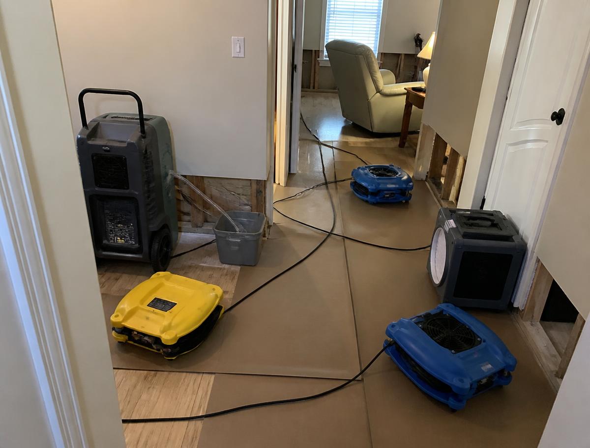Structural Drying Setup